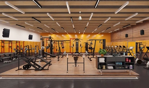 Fitness Studio or Gym