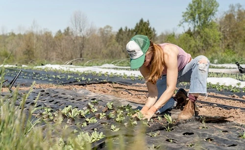  Future of Food Production