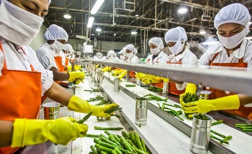 Food Processing Industry